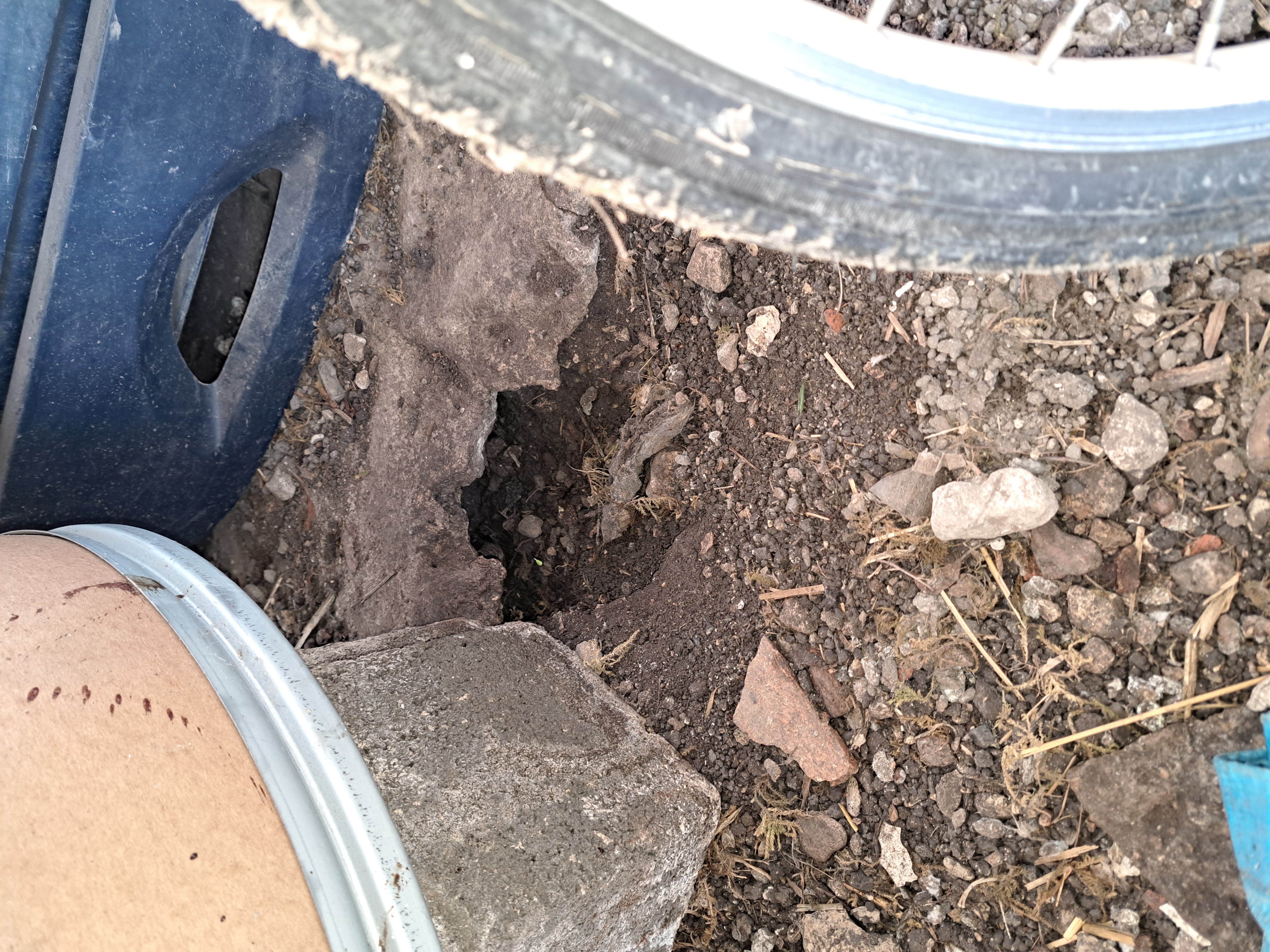 Dératisation à Coulonges (17800)